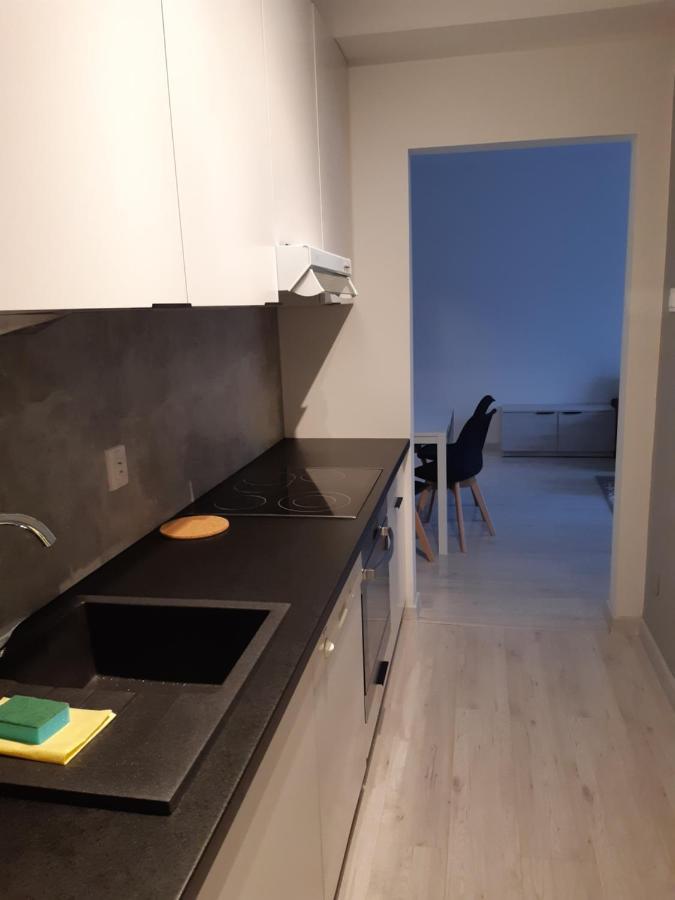 Lewa Lodz Apartment ภายนอก รูปภาพ